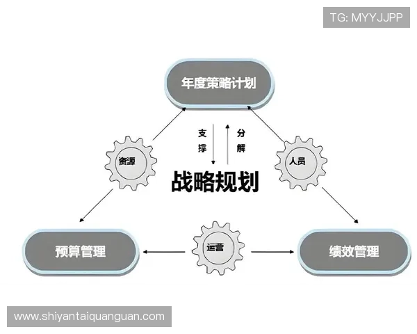 亚星管理官网：企业战略规划与运营优化的专业咨询服务