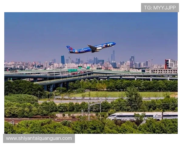 亚星国际上海:全面解析其在上海网络游戏行业的市场布局与发展前景