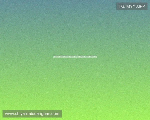 亚星代理网打造全方位世界杯报道体系，满足不同用户对赛事信息的多样化需求